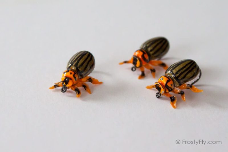Realistic Colorado Potato Beetle Flies