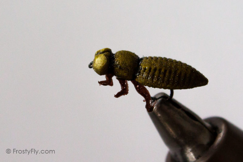 Realistic Dragonfly Larvae