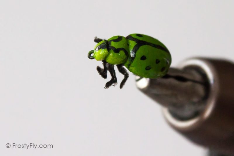 Realistic Green Ladybug Fly