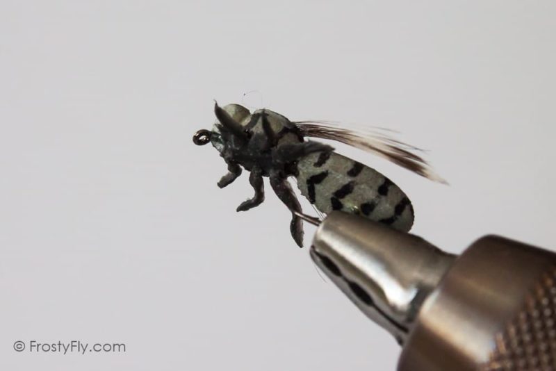 Realistic Horse Fly (Gad Fly)