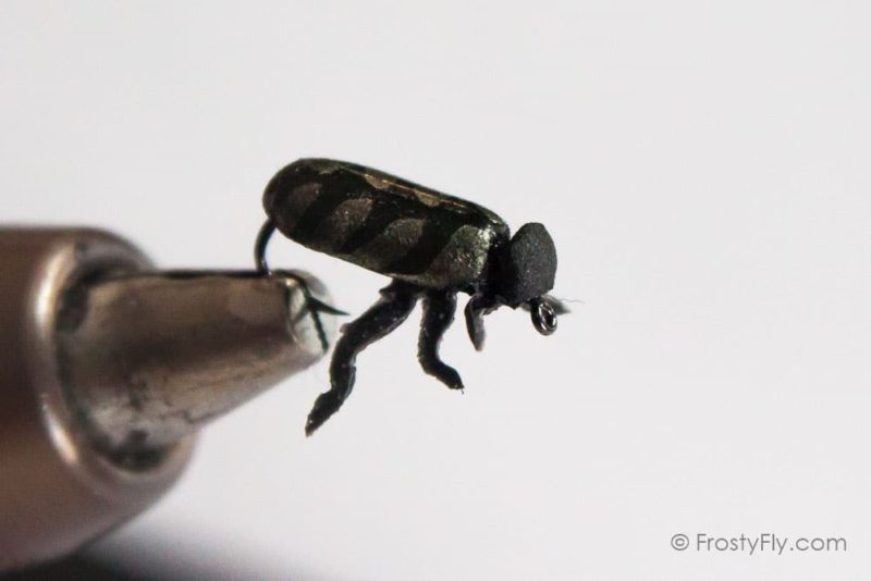 Realistic Silver Beetle Fly