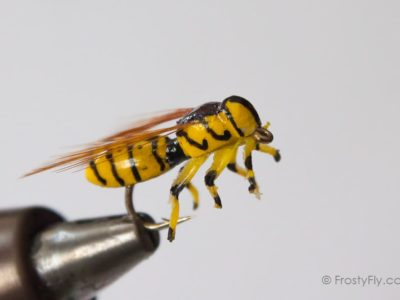Realistic Wasp II