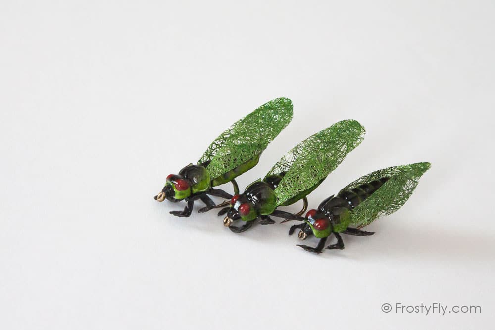 Realistic Cicada Fly - FrostyFly