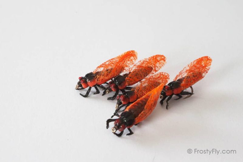 Realistic Cicada Flies Orange 8185 - FrostyFly
