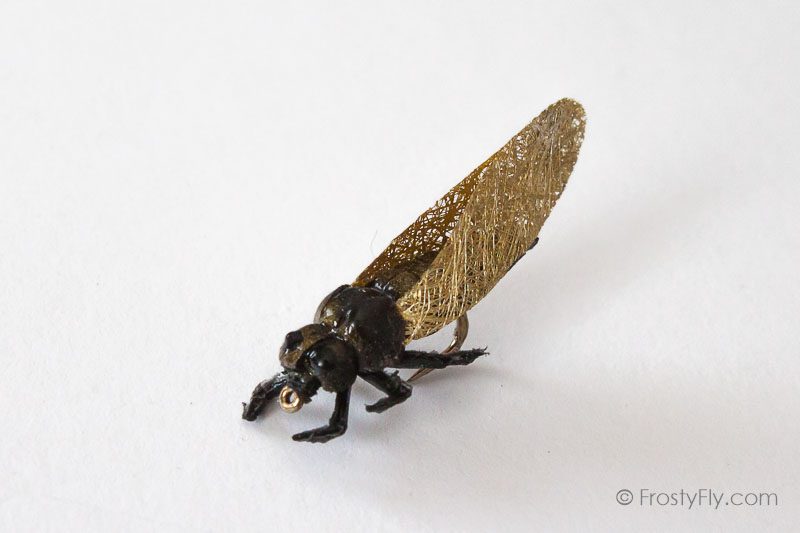Realistic Cicada Fly - Gold