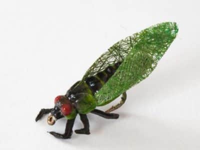 Realistic Cicada Fly - Green