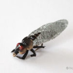 Realistic Cicada Fly - Tan