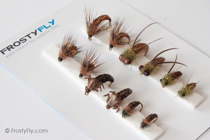 Realistic Flies - Caddis Larvae Pupa Emerger - Set of 12 Flies - Brown