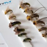 Realistic Flies - Caddis Larvae Pupa Emerger - Set of 12 Flies - Light Green