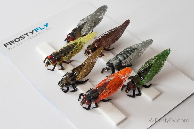 Realistic Flies - Cicadas - Set of 7 Flies