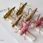 Realistic Flies - Hopper - Set of 6 Flies - Pink, Tan and Yellow-Black