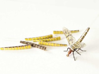 Realistic Fly Tying Bodies - Realistic Extended Mayfly Bodies