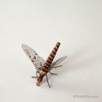 Realistic Mayfly Dry - Hendrickson - Red Quill