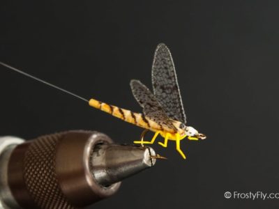 Realistic Mayfly Dry - Hexagenia