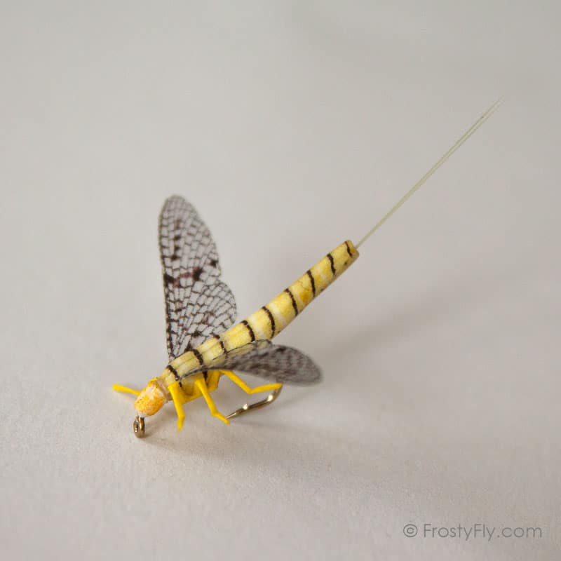 Realistic BWO Mayfly Dry Fly