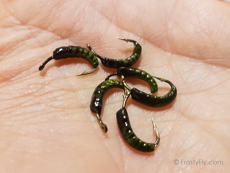 Weighted Hydropsyche Larva Bodies with Hooks Green 2 - FrostyFly