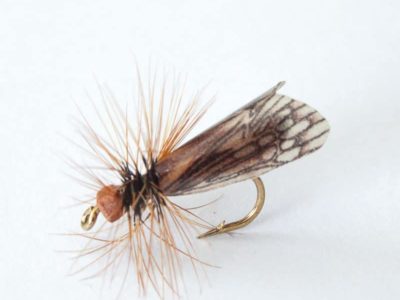 Realistic Caddis Fly Dry II - Brown