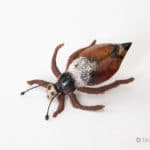Realistic Cockchafer Beetle Flies - Brown