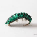 Realistic Curved Sawfly Larva Fly - Olive