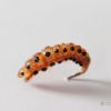 Realistic Curved Sawfly Larva Fly - Orange