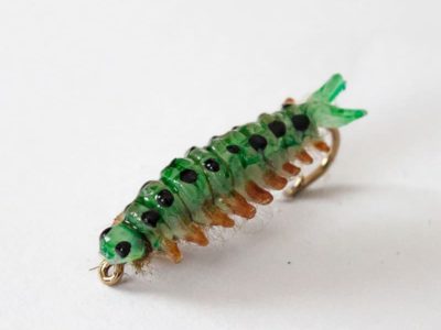 Realistic Sawfly Larva - Olive