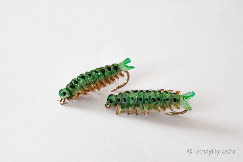 Realistic Sawfly Larva - Olive