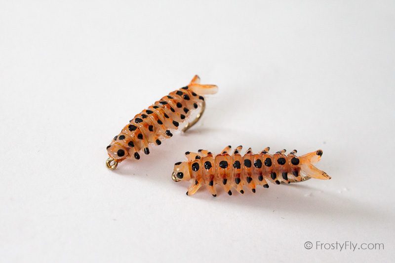 Realistic Sawfly Larva - Orange