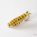 Realistic Sawfly Larva - Yellow