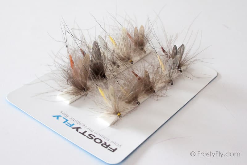 Realistic Flies - MAYFLY Selection of 10 Flies - Assorted - FrostyFly