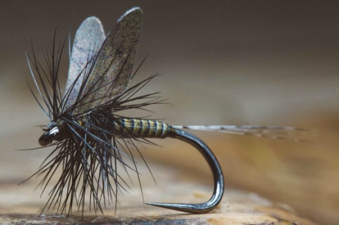 Quill Body Mayfly by Fly Fiend