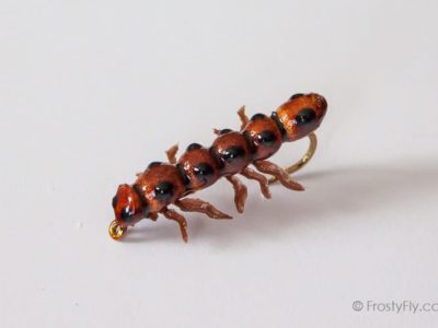 Realistic Caterpillar Fly - Brown