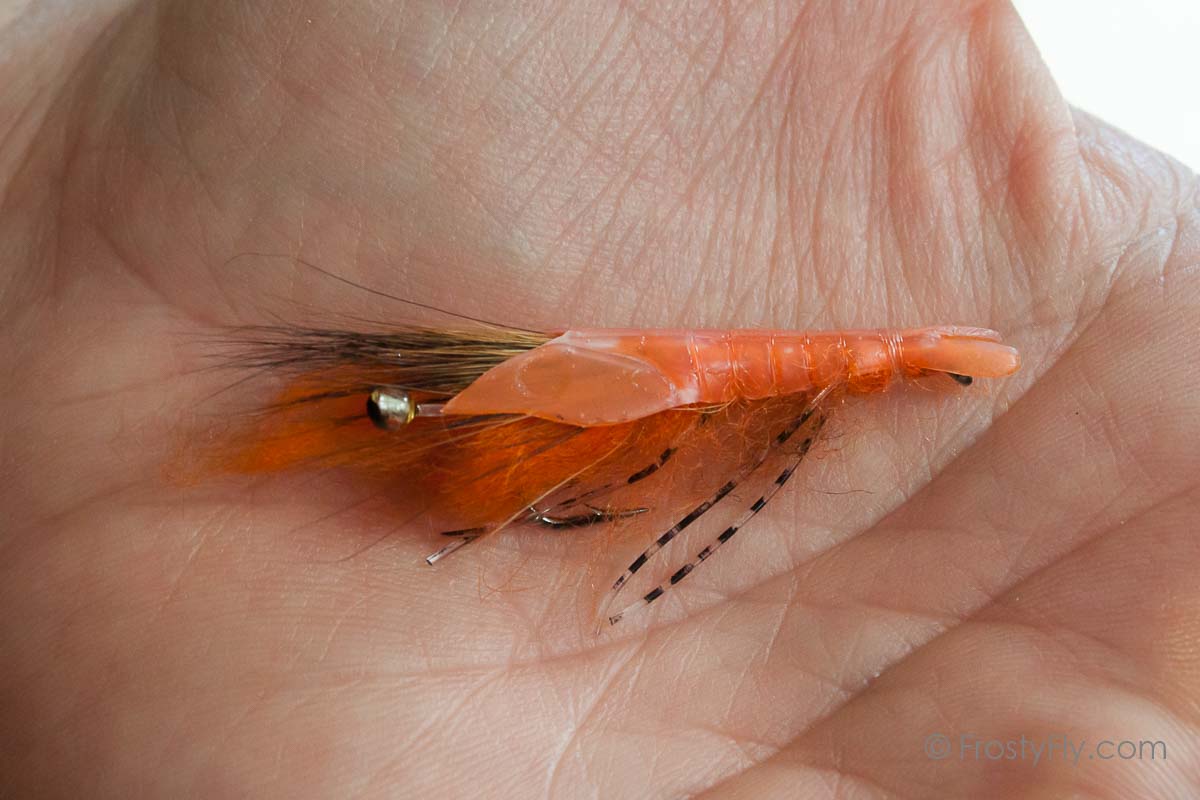 4PCS #6 Orange #1 Pearl Back Flash Shrimp Fly Sinking Artificial