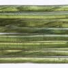Catgut Biothread - Green Olive