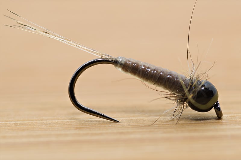 Tying the Micro Nymph with Catgut - Final Fly - with Brown Underbody Thread - When Wet