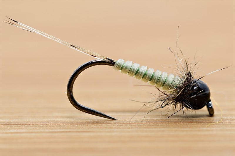 Tying the Micro Nymph with Catgut - Final Fly - with Green Underbody thread