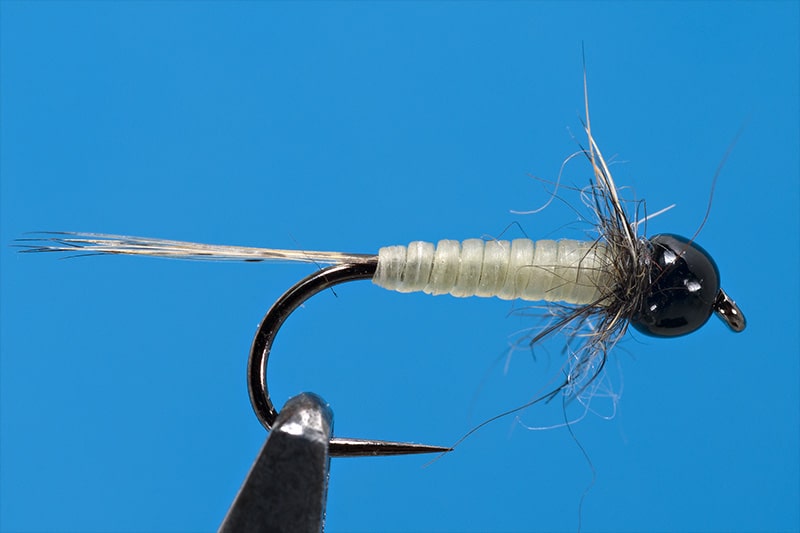 Tying the Micro Nymph with Catgut - Step 6