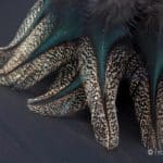 Coq de Leon Colgaderas Feathers - Corzuno Oscuro