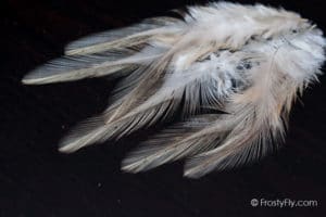 Coq de Leon Colgaderas Feathers - Indio Claro