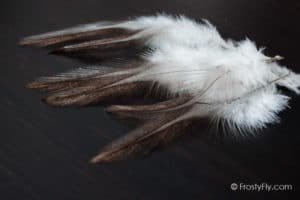 Coq de Leon Colgaderas Feathers - Indio Medio