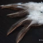 Coq de Leon Colgaderas Feathers - Indio Medio