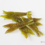 Realistic Silicone Shrimp Shells - 6 pcs - Olive