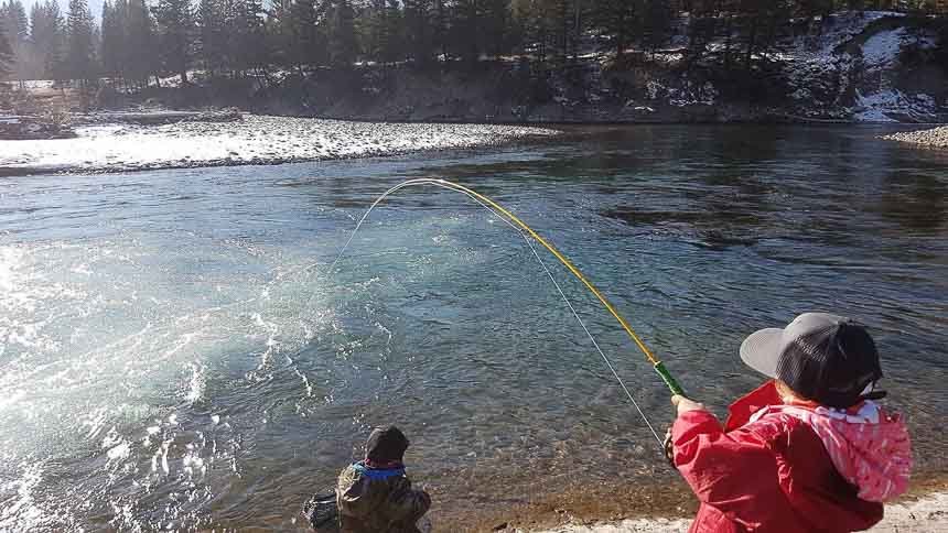 Fly fishing with kids