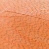 Mallard Barred Feathers - Orange