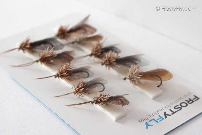 Realistic Flies CADDIS Selection of 10 Flies Assorted 9978 - FrostyFly