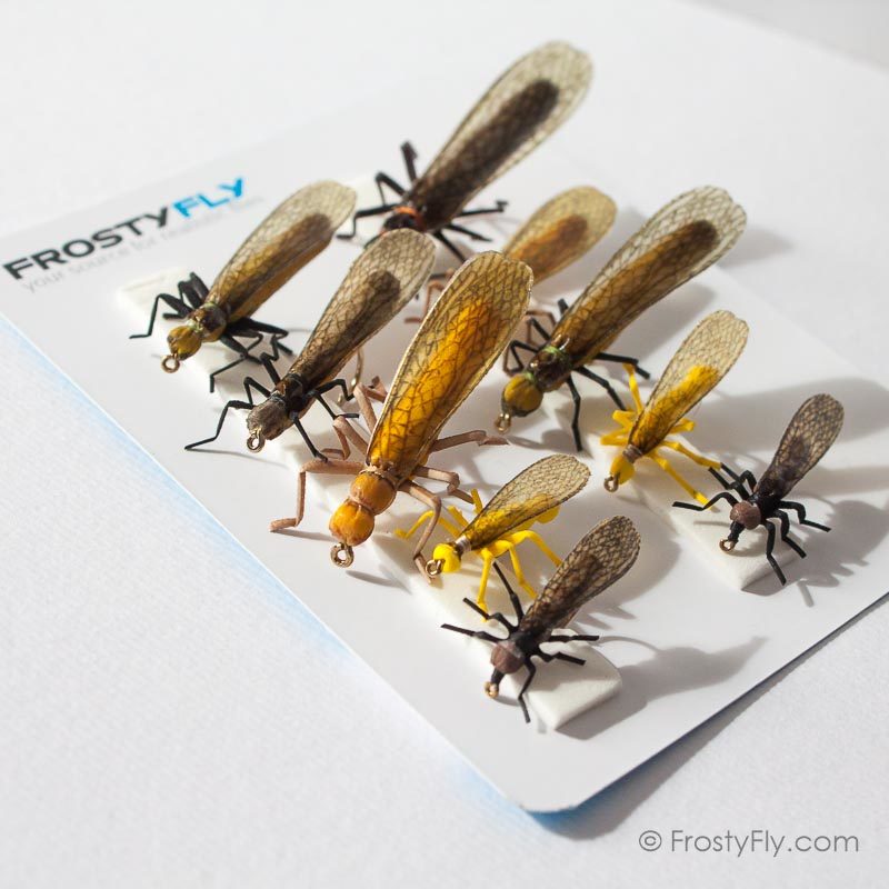 Realistic Flies - STONEFLY II Selection of 10 Flies - Assorted