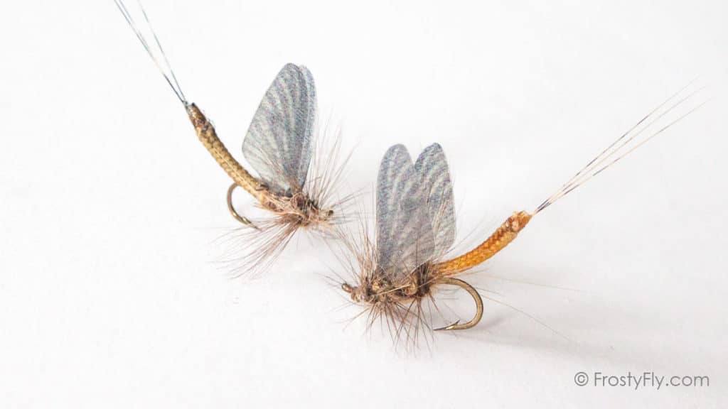 The Hendrickson Hatch - A Happy Time for a Fly Fisherman
