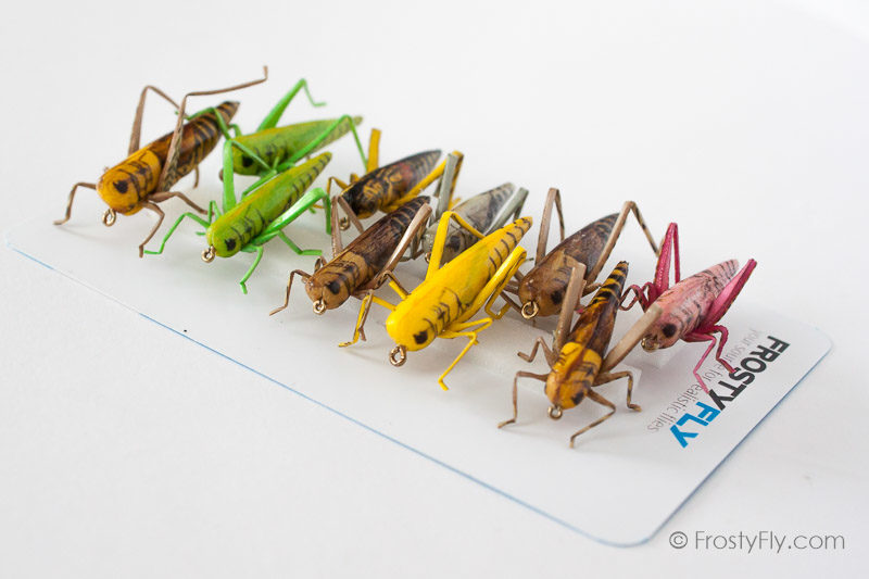 Realistic Flies - HOPPER Selection of 10 Flies - Assorted