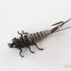 Upside Down Realistic Stonefly Nymph - Black