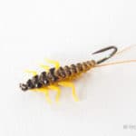 Upside Down Realistic Stonefly Nymph - Golden