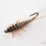Upside Down Realistic Stonefly Nymph - Tan